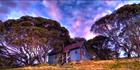 Cope Hut - VIC T (PBH3 00 34375)
